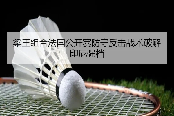 liang-wang-zu-he-fa-guo-gong-kai-sai-fang-shou-fan-ji-zhan-shu-po-jie-yin-ni-qiang-dang-2-916.jpg