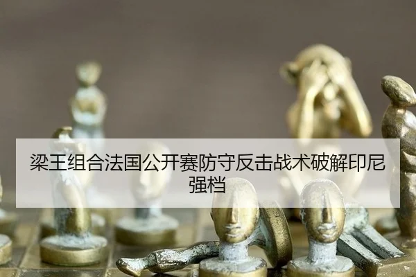 liang-wang-zu-he-fa-guo-gong-kai-sai-fang-shou-fan-ji-zhan-shu-po-jie-yin-ni-qiang-dang-3-645.jpg