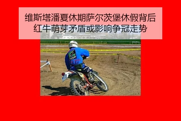 wei-si-ta-pan-xia-xiu-qi-sa-er-ci-bao-xiu-jia-bei-hou-hong-niu-meng-ya-mao-dun-huo-ying-xiang-zheng-guan-zou-shi-3-302.jpg